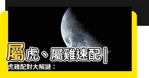 屬虎屬雞|生肖配對｜屬虎12生肖夫妻配對表！最佳姻緣及相沖排